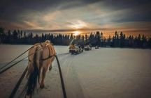Winter horse-drawn sleigh ride with hot beverage in Trysil
