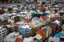 Tour of Reykjavik's instagrammable spots with a local