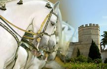 Jerez guided tour with Royal Andalusian School of Equestrian Art