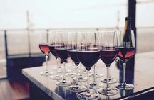 Wine and arancini tasting experience in Piazza Armerina