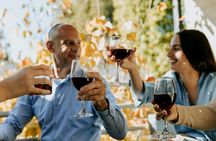 Wine and arancini tasting experience in Piazza Armerina