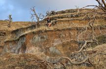 Trekking through volcanic landscapes on Vulcano Island