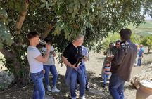 Traditional Sicilian flavours and vineyard visit in Agrigento