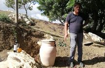 Traditional Sicilian flavours and vineyard visit in Agrigento