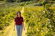 Mazara del Vallo wine experience