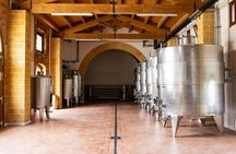Cous Cous experience and wine tasting in Mazara del Vallo