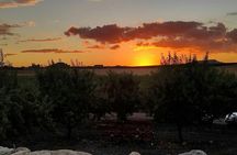 Sunset painting among the vineyards of Mazara del Vallo