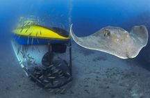 Submarine dive in the Atlantic Ocean in Tenerife