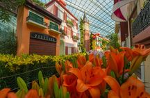Cloud Forest and Flower Dome at Gardens By The Bay Entrance Tickets