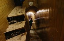 VIP St. Peter's Basilica tour with Dome climb and Papal Crypt