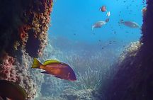 Scuba diving experience in Menorca’s Cala Galdana Bay