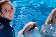 Mundomar dolphin encounter