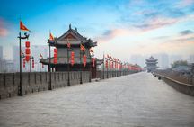 Terracotta Warriors and Chengdu-Xi'an City Wall bullet train trip