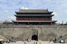 Terracotta Warriors and Chengdu-Xi'an City Wall bullet train trip