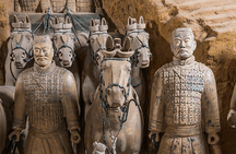 Terracotta Warriors and Chengdu-Xi'an City Wall bullet train trip
