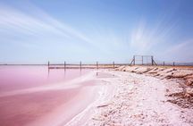 Day trip to Tabarca, Santa Pola with Laguna Rosa ticket from Alicante