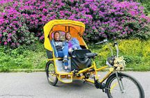 Guided pedicab tour through New York's Central Park