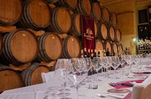 Truffle hunting and tasting in San Gimignano with lunch