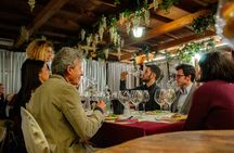 Truffle hunting and tasting in San Gimignano with lunch