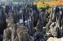 Private Kunming Stone Forest tour