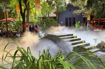 Panda Base and city highlights private day tour in Chengdu