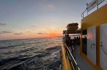 Sunset cruise, turtle watching and unlimited drinks from Paphos