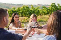 Horseback riding and winery lunch experience in San Gimignano