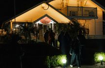 Evening rainforest and glow worm tour