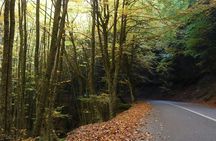 Full day tour from Katerini to Mount Olympus and Dion