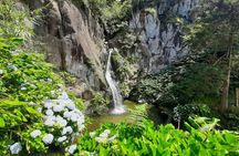 Guided adventure tour through nature and marine life