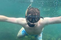 Guided adventure tour through nature and marine life