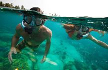 Guided adventure tour through nature and marine life