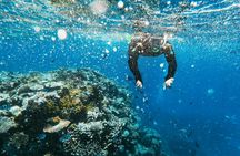 Guided adventure tour through nature and marine life