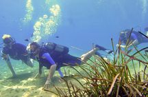 Scuba diving lesson for beginners in Crete with pick-up option