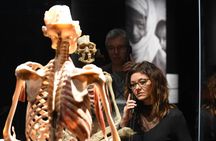 BODY WORLDS Magdeburg entrance ticket