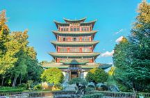 Customized private day tour of Lijiang city highlights with lunch