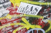 Street Art guided tour in Croix-Rousse