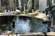 Kyoto Coast, Amanohashidate and Ine Bay 1-Day Trip from Osaka or Kyoto