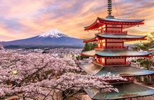 Tour to Mt. Fuji Area, Oshino Hakkai and Kawaguchi Lake from Tokyo