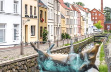 Wismar best intro city walking tour with a local