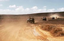 Lanzarote buggy north tour – ticket only