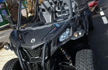 Buggy tour in Lanzarote with hike to El Cuervo – ticket only