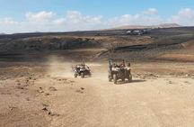 Lanzarote buggy north tour – ticket only