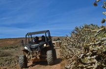 Two-hour North Lanzarote mixed-terrain four-seater buggy tour – ticket only