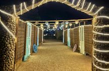 Sharm desert combo buggy ride, bedouin dinner, show and stargazing
