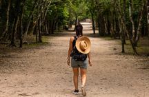 Tulum and Coba private tour with Mayan ruins and cenote swim