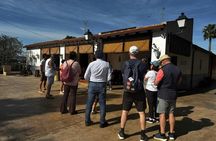 Wine tasting and tapas guided tour from Alicante
