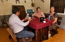 Wine tasting and tapas guided tour from Alicante