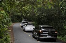 The Son Tra green journey from forest to sea