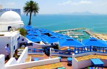 Tunis and Carthage tour with hotel pickup and guide driver